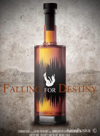 постер к смотреть бесплатно Судьба покажет / Falling for Destiny 2020
